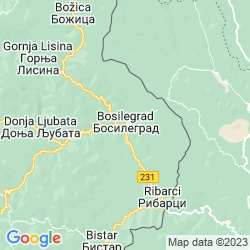 Bosilegrad