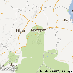 Mongwe