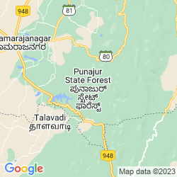Punajur-State-Forest
